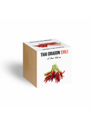 Thai Dragon chili növényem fa kockában