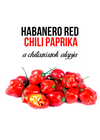 Piros Habanero chili paprika növény nevelő szett