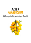 Aztek paradicsom növény nevelő szett