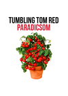 Tumbling Tom Red paradicsom növény nevelő szett