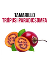 Tamarillo - Trópusi paradicsomfa növény nevelő szett