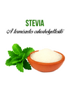Stevia növény nevelő szett