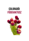 Coloradoi fügekaktusz növény nevelő szett