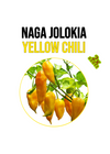 Naga Jolokia yellow chili paprika növény nevelő szett