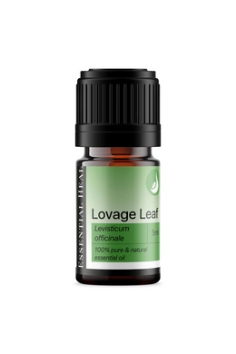 Lovage Leaf - Lestyán illóolaj