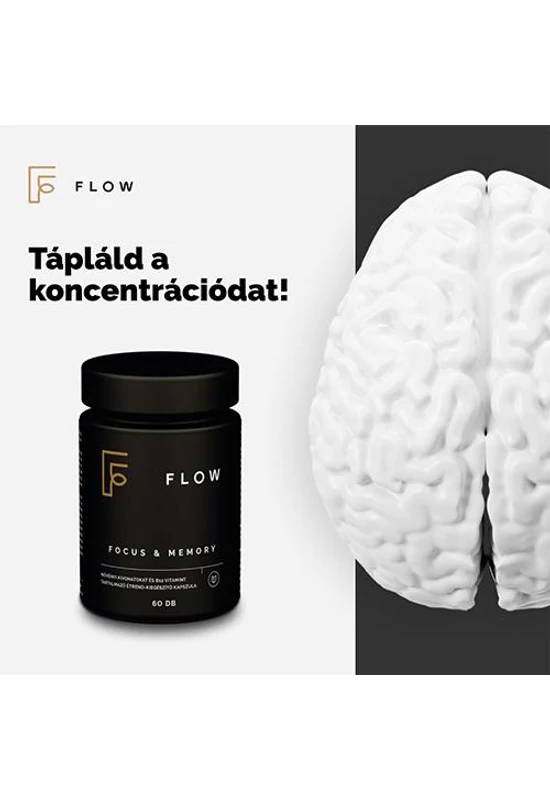 Flow Focus & Memory (60db)