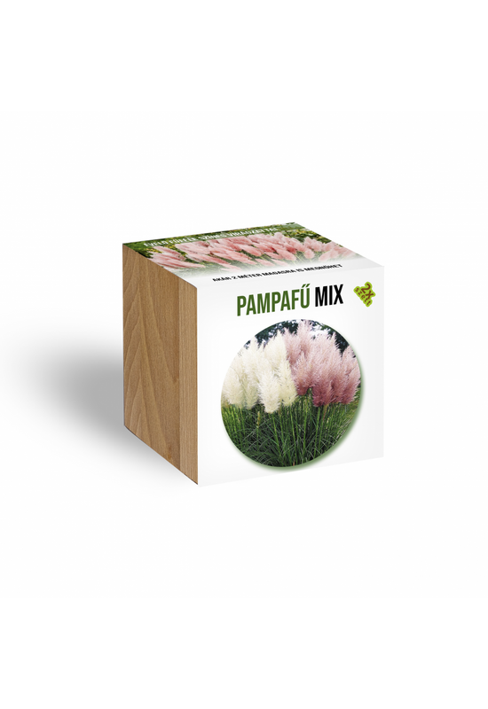 Pampafű mix növényem fa kockában