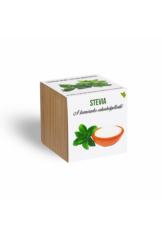 Stevia növényem fa kockában