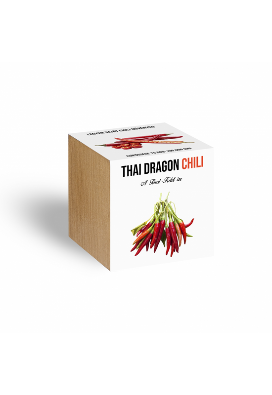 Thai Dragon chili növényem fa kockában