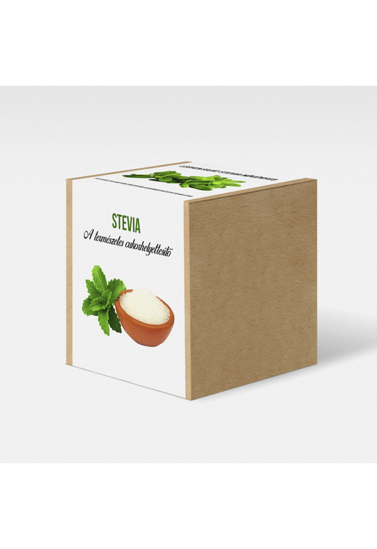 Stevia növény nevelő szett