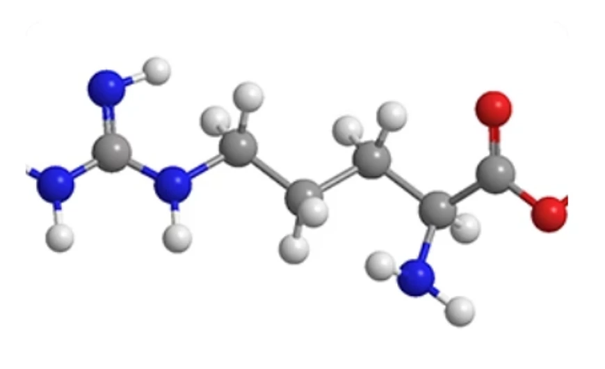 Az L-Arginin: a sokoldalú aminosav